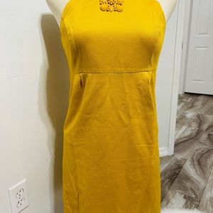 Dress size 10